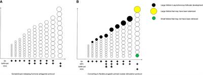 Fixed Gonadotropin-Releasing Hormone Antagonist Protocol Versus Flexible Progestin-Primed Ovarian Stimulation Protocol in Patients With Asynchronous Follicular Development During Controlled Ovulation Stimulation: A Retrospective Study